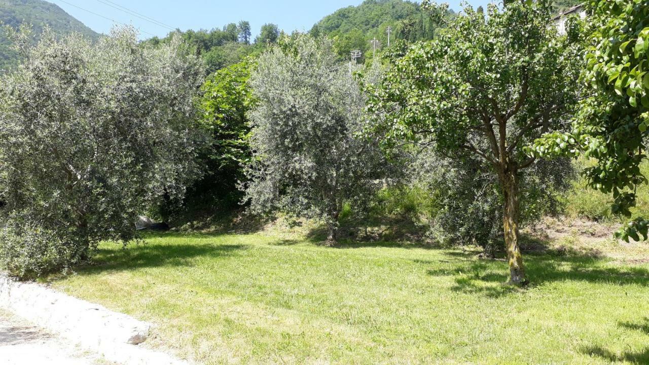 Villa Casa Gina Garden And View By Gardadomusmea Tremosine Exterior foto
